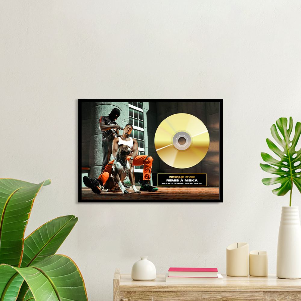 Disque d'or Niska Mr Sal (Mr sal, Commando, Le monde est méchant, Zifukoro...)