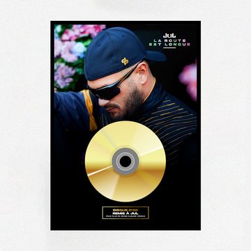 Tous les disques d'or de Jul (My World, Coeur Blanc...) – T Certif